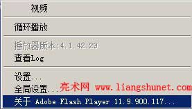 Ҽ flash  flash player 汾