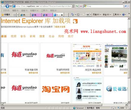 Internet Explorer 库