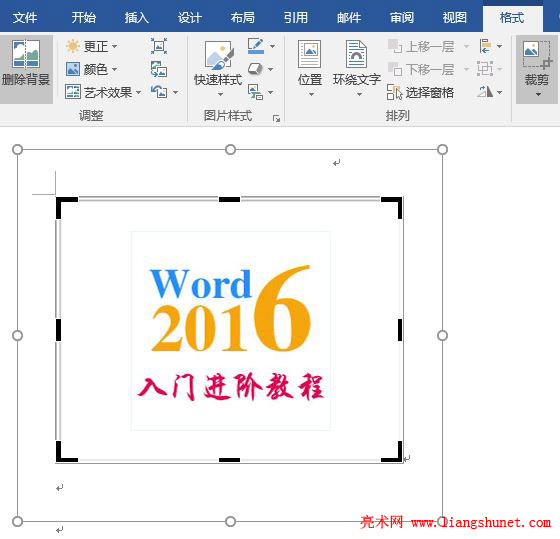 Word 2016 ѡͼƬü