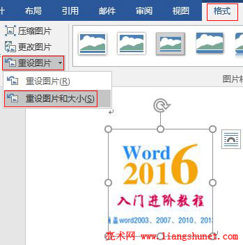 Word2016 ͼƬʹС