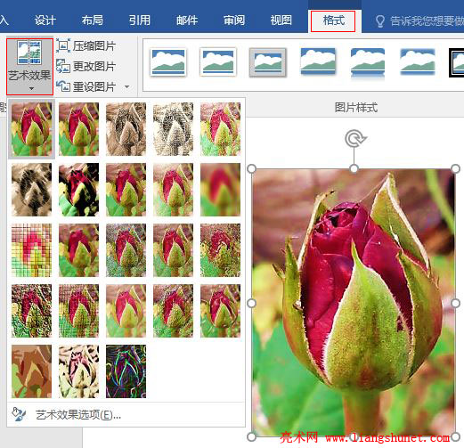 Word 2016 ͼƬЧǦʻҶȡ衢ܷ⡢Ӱӡ