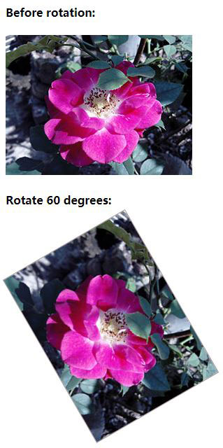 Rotate image Css