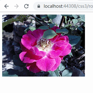 How to rotate image in css on hover