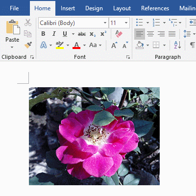 How to Cut pictures in Word