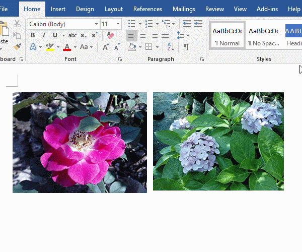  How to cut multiple pictures in Word